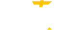 Auto Chess